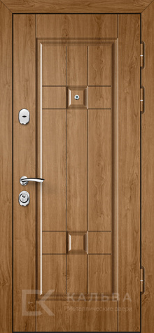 Фото «Дверь с шумоизоляцией №25»